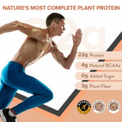 3 - Wellbeing Nutrition Superfood Plant Protein, 1.1 lb Dark Chocolate Hazelnut