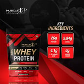 6 - MuscleXP 100% Whey Protein with Digestive Enzyme, 2.2 lb Double Chocolate